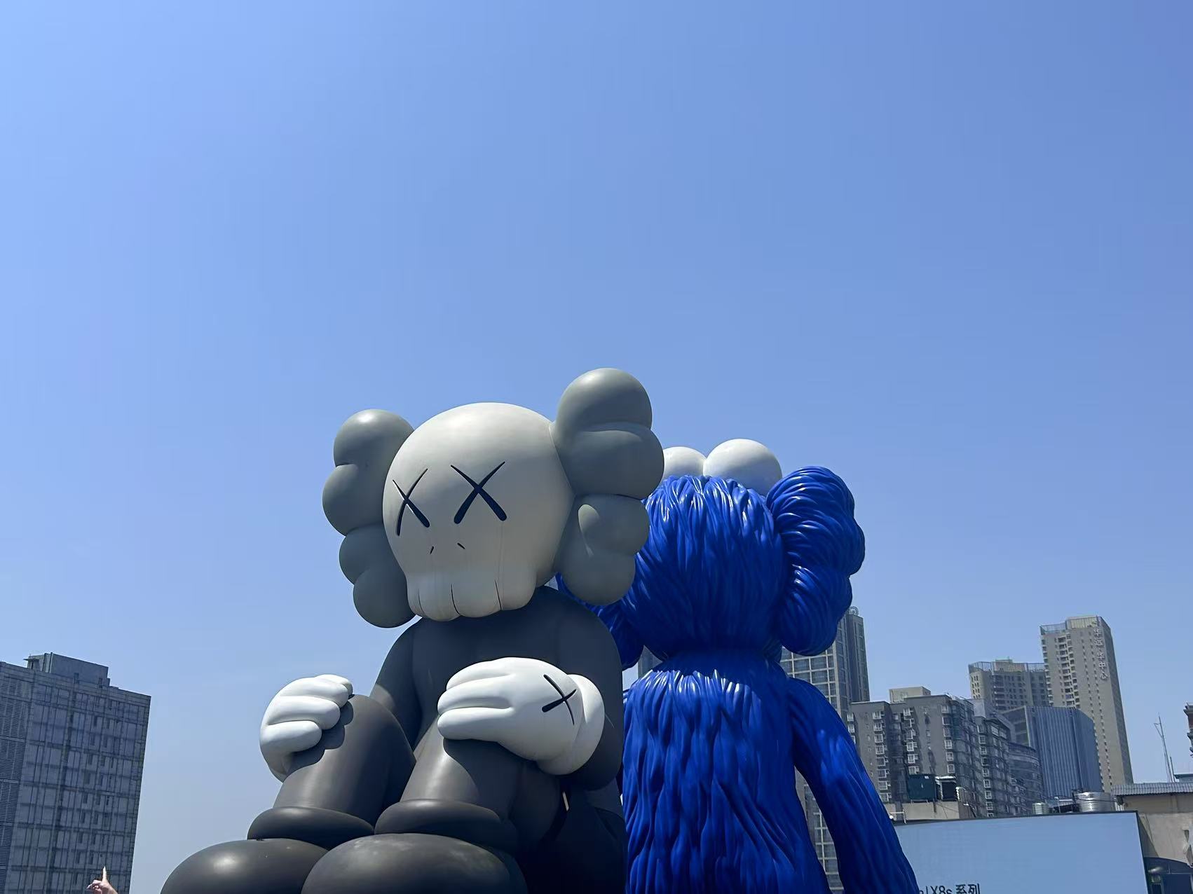 图片6