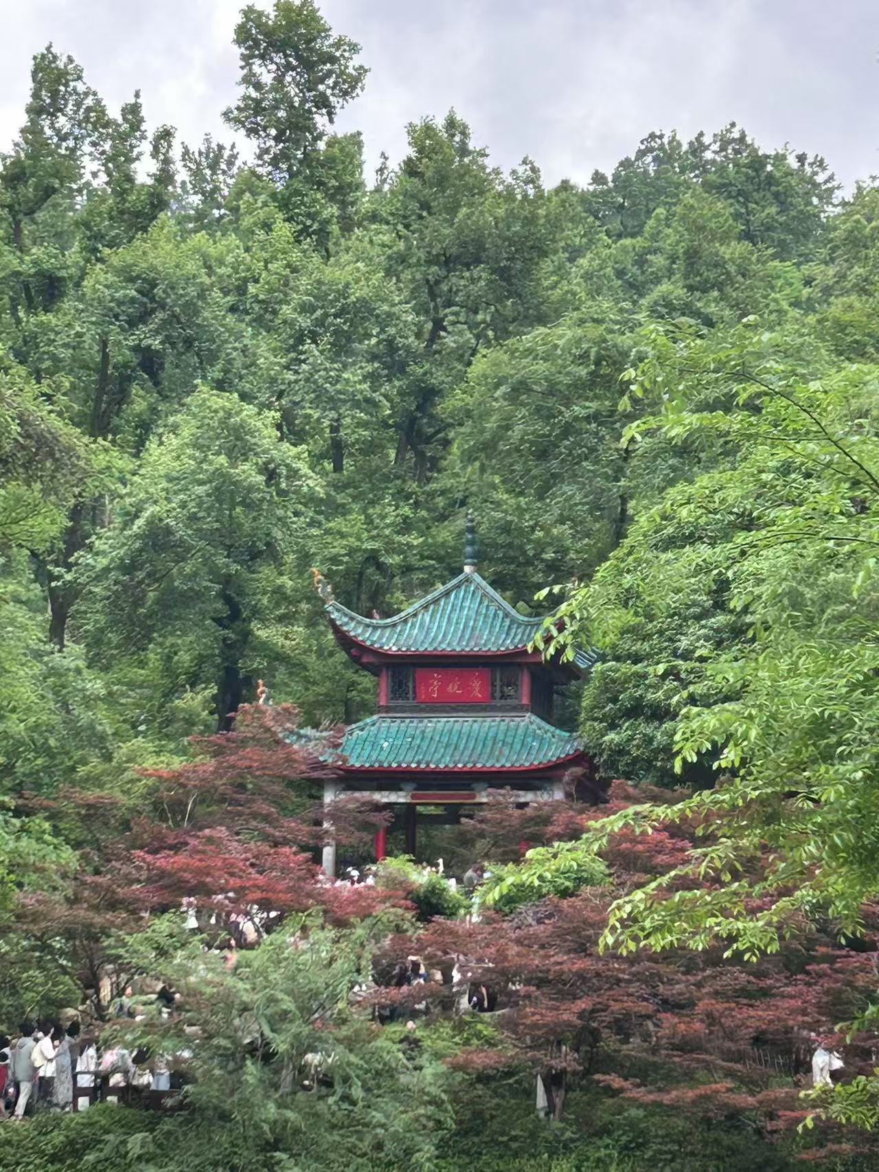 图片3